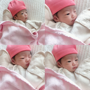 이서윤 첨부파일 : 1668692242.jpeg