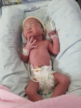 시엘천사 첨부파일 : 1710756696.png