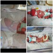 김대영김대엽김대완