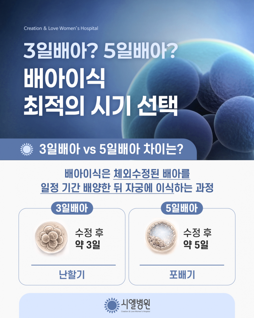 3일배아? 5일배아? 배아이식 최적의 시기 선택 첨부파일 : 1772672090.png