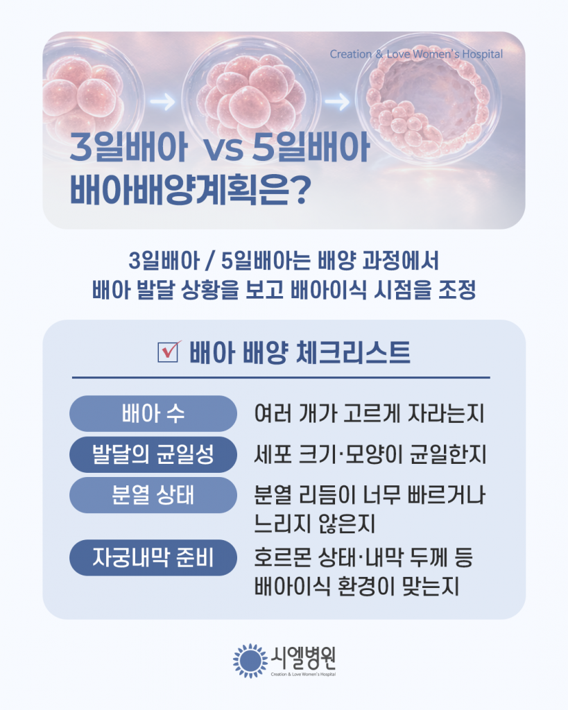 3일배아? 5일배아? 배아이식 최적의 시기 선택 첨부파일 : 1772672094.png