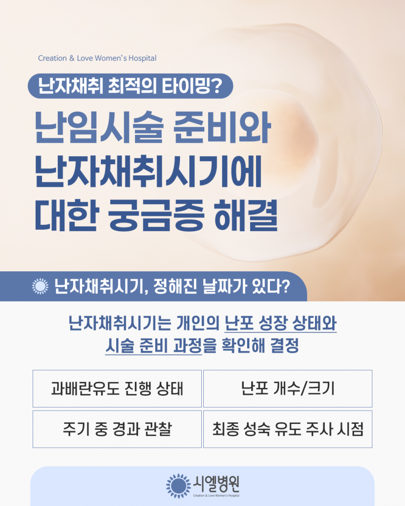 난자채취 최적의 타이밍? 난임시술 준비와 난자채취시기에 대한 궁금증 해결 첨부파일 : 1773279658.png