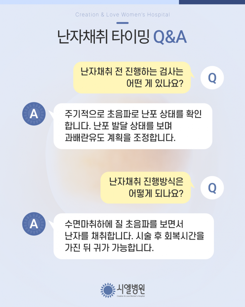 난자채취 최적의 타이밍? 난임시술 준비와 난자채취시기에 대한 궁금증 해결 첨부파일 : 1773280122.png