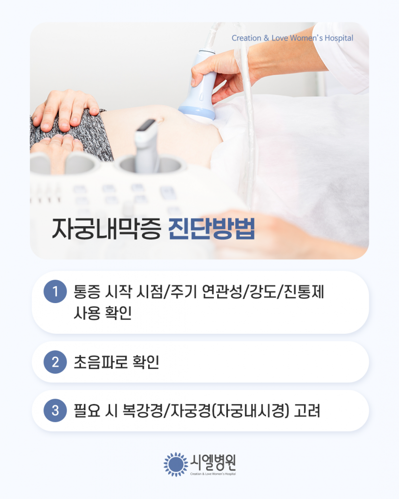 생리통의 원인, 단순한 통증이 아닌 자궁내막증일 수 있다? - 시엘병원 오성택원장 첨부파일 : 1773376706.png