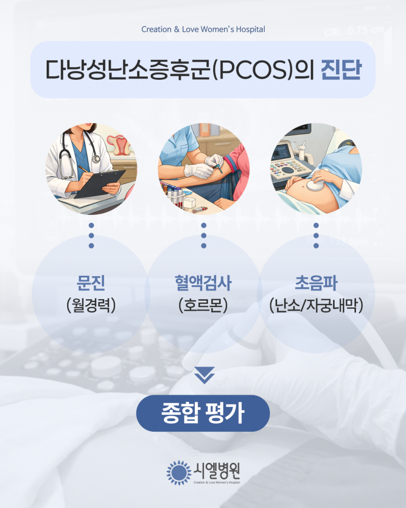 다낭성난소증후군, 임신이 정말 어려울까? 다낭성증후군과 다낭성 치료 - 시엘병원 최범채원장 첨부파일 : 1773648480.png