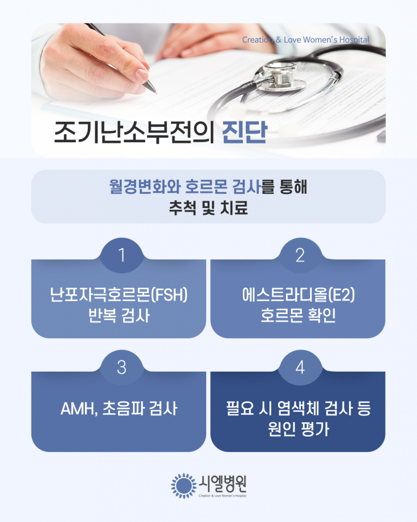 난소기능저하로 인한 조기폐경 치료 시 중요한 점 [조기난소부전 치료] - 시엘병원 최민엽 원장 첨부파일 : 1773704728.png