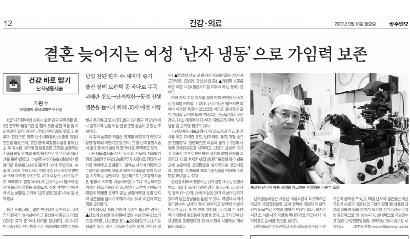 결혼 늦어지는 여성 ‘난자 냉동’으로 가임력 보존 첨부파일 : 1695697297.jpg