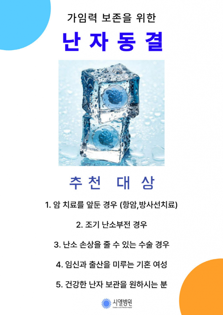 가임력 보존을 위한 난자동결 안내 첨부파일 : 1696485646.jpg