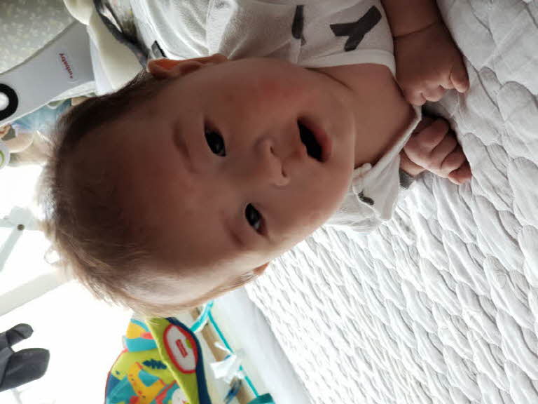 실험관 1차로 마흔둥이 낳았어요ㅎ  첨부파일 : 1529369518.jpg