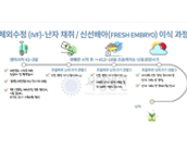 시엘병원 체외수정 신선배아이식과정 알아보기